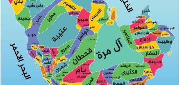 أشهرها العوامر.. قائمة أكبر القبائل العربية في دولة الإمارات