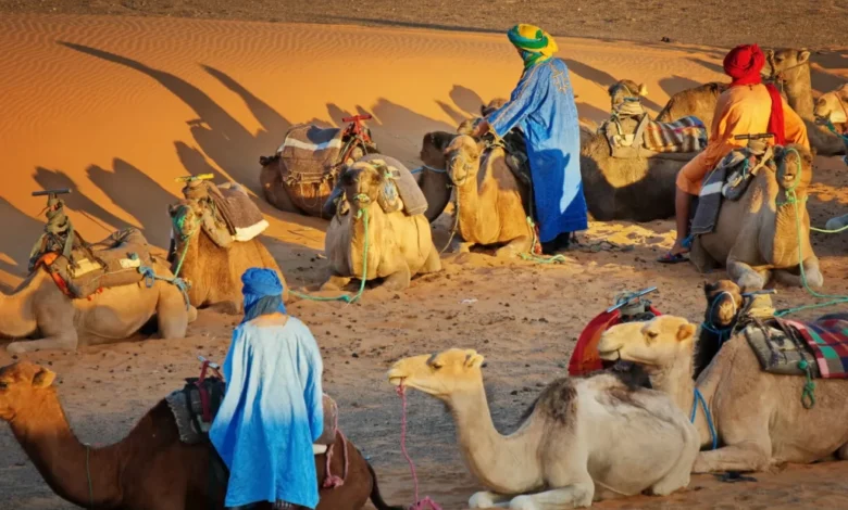 عائلة المدلج.. أصلها وموطنها وأبرز شخصياتها