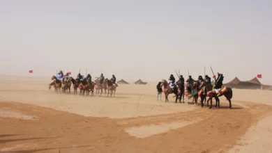 قبيلة الرميحي.. أصلها وفروعها وأماكن انتشارها