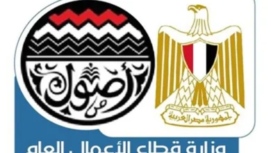 خبراء يكشفون سر نجاح قطاع الأعمال في معالجة مشكلة نقص العمالة لأصحاب الخبرات النادرة