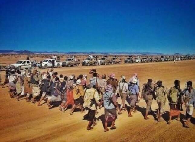 تعرف على أصل قبيلة العولقي.. وهؤلاء أشهر شيوخها