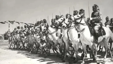 قبيلة آل صلاح.. أصلها وفروعها وأماكن تواجدها في السعودية واليمن