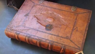 "الظلال من جدران الموت".. الكتاب الأخطر في العالم وهذا ما فعله في كل من قرأه