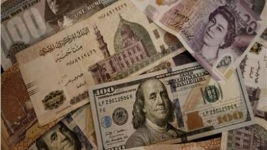 اقتصاديون يتحدثون عن أهمية مرونة سعر الصرف في مواجهة تداعيات خروج الأموال الساخنة