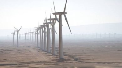 خبراء يشيدون بتوقيع اتفاقيات لتعزيز الطاقة المتجددة في مصر.. ويؤكدون: تعزز الاستدامة البيئية