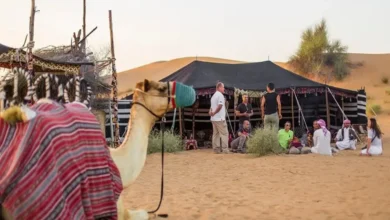 عائلة درندري: أصولها وانتشارها وأشهر شخصياتها