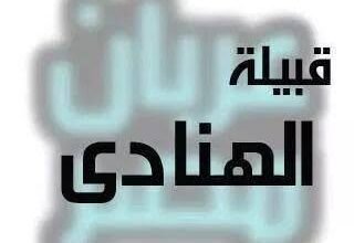 قبيلة الهنادي في الدقهلية: تاريخ عريق ودور في التنمية والتراث