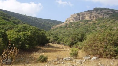 جبل الكرمل: الموقع الذي شهد على تاريخ فلسطين