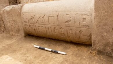 مقبرة الأمير حرحور في أسوان: نافذة نادرة على العصر الانتقالي في مصر القديمة