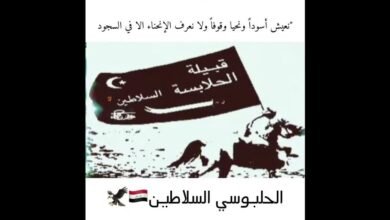 عشائر الحلابسة