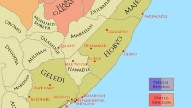 قبائل دارود