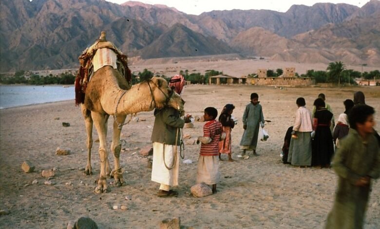 الجلوة البدوية في سيناء: عرف قبلي لحفظ الدم وتهدئة الثأر