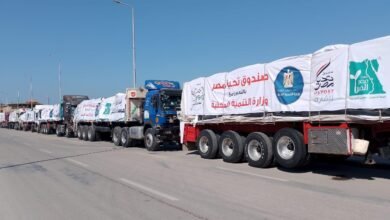 166 شاحنة أمل.. مصر تنقذ غزة في ظل إغلاق المعابر وغياب الحلول
