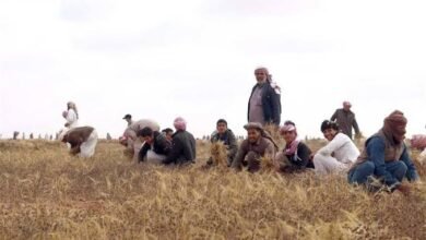 الفزعة في القبائل العربية.. من شهامة النخوة إلى رمز التكافل القبلي