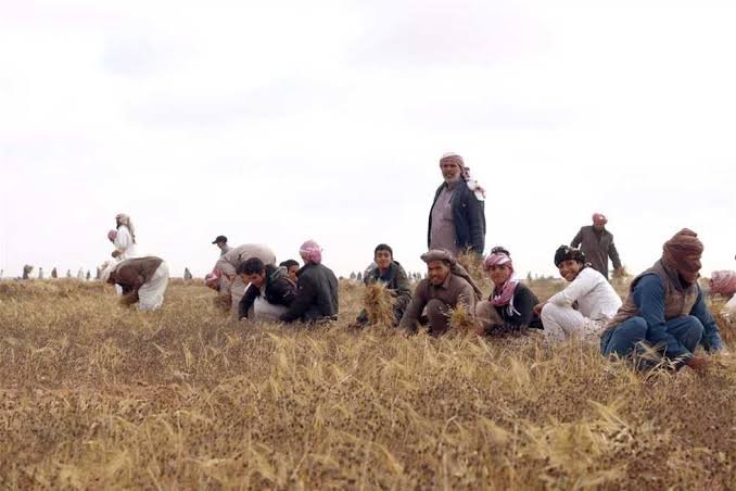 الفزعة في القبائل العربية.. من شهامة النخوة إلى رمز التكافل القبلي