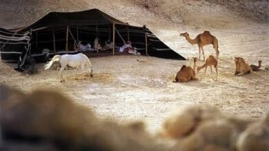 الترحاب والسلف: عادة الكرم المتوارثة في قبائل الصعيد