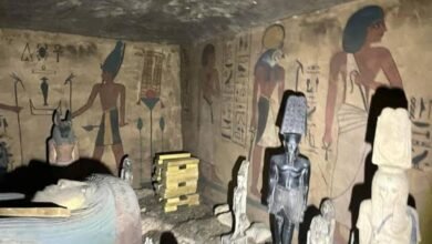 من لصوص المقابر إلى المستعمرين.. رحلة نهب آثار مصر عبر العصور .