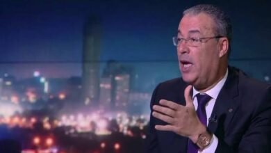 بين السياسة والثقافة والفن: أ.د. صلاح سلام