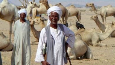 قبيلة بني عامر: إرث عربي حضرمي في قلب المغرب العربي