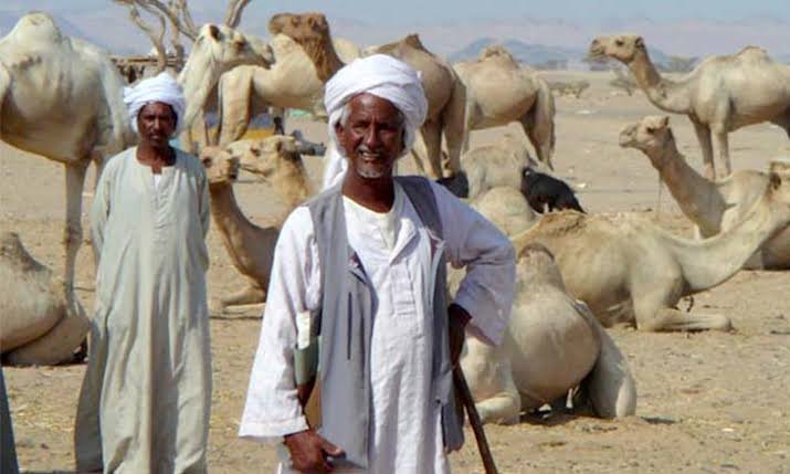 قبيلة بني عامر: إرث عربي حضرمي في قلب المغرب العربي