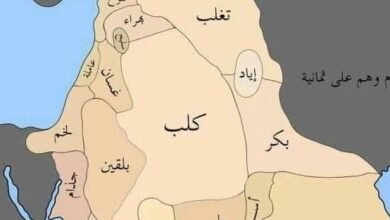 قبيلة بني كلب: قبيلة عربية صنعت تاريخ الشام من الصحراء إلى الحكم