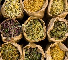 الأعشاب الطبية