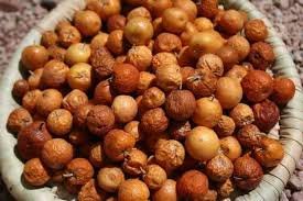 ثمرة النِبِق