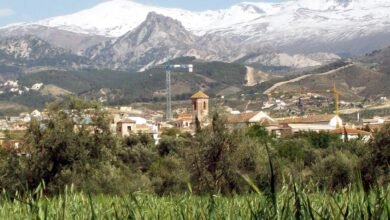 قبيلة همدان.. من جبال اليمن إلى سهول الأندلس