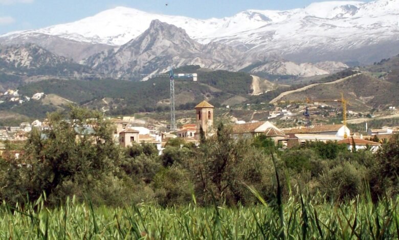 قبيلة همدان.. من جبال اليمن إلى سهول الأندلس