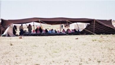 قبيلة بني عباد: سادة إشبيلية وحكام الأندلس في عصر الطوائف