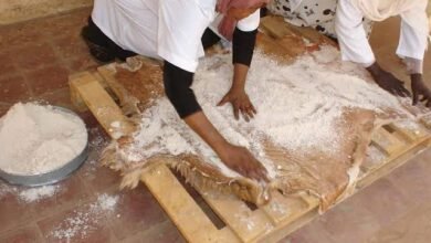 دبغ الجلود.. حرفة بدوية قديمة تحفظ أسرار العيش في الصحراء