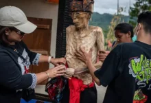 قبيلة توراجا