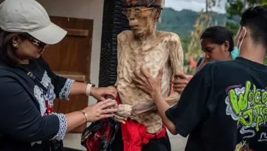 قبيلة توراجا