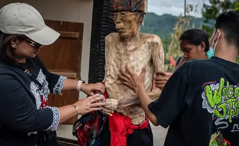 قبيلة توراجا