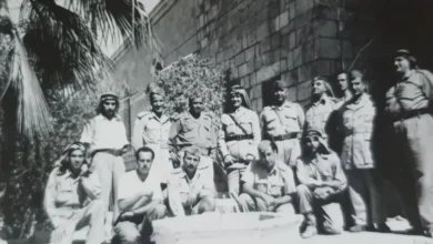 معركة جنين 1948