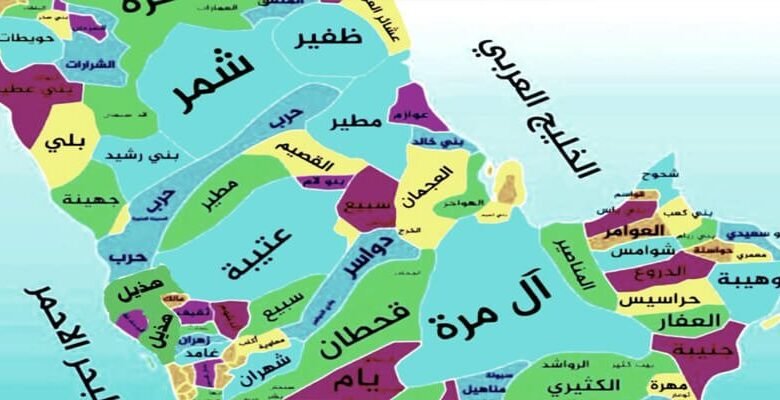 قبيلة العتيبة.. من صحراء نجد إلى عمق الهوية الخليجية الحديثة