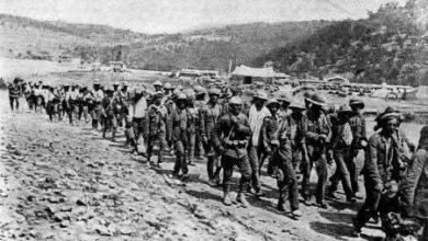 معركة العريش ارشيفية