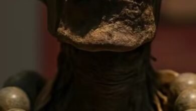  الذهب في مصر القديمة.. معدن الخلود وسر الإلهية