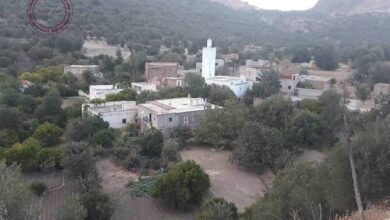 قبيلة كومية.. عرب الأندلس الذين جددوا ملامح المجتمع المغاربي