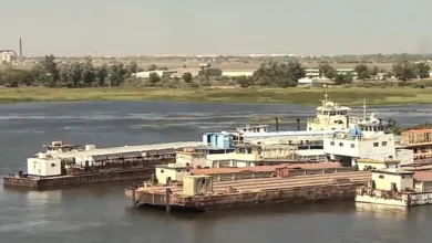 عروس النيل كوستي