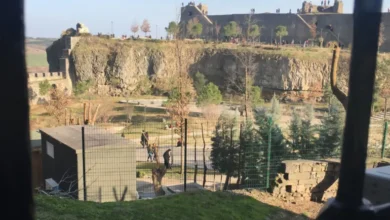 ديار بكر التركية