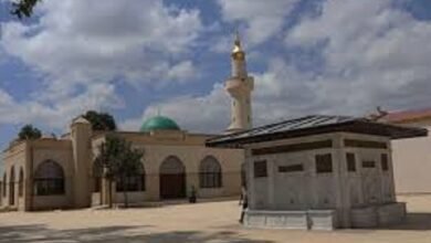 قرية النجاشي