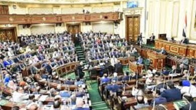 انتخابات مجلس النواب 2025