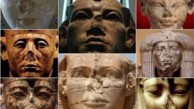 الأبناء في الحضارة المصرية القديمة رمز الخلود وامتداد الروح عبر العصور