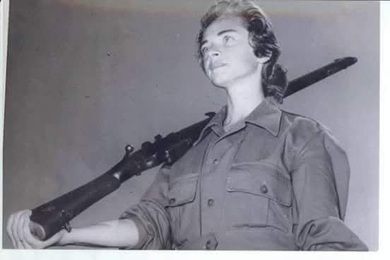 النساء المقاتلات في تراث الصعيد حكايات البطولة المنسية