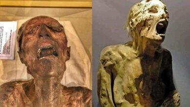 مومياء رمسيس الثاني