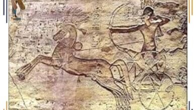 المركبات الحربية