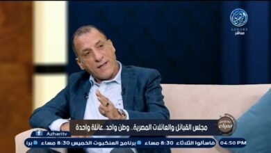 شجرة الزيتون والهوية الإقتصادية لسيناء