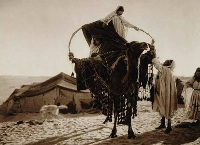 قبيلة أولاد نايل: من عمق الصحراء الجزائرية إلى حضور ثقافي يمتد نحو الخليج العربي