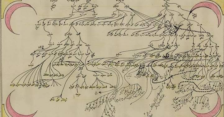 عائلة درويش.. جذور راسخة في قبيلة العوامر وامتداد اجتماعي عبر الوطن العربي